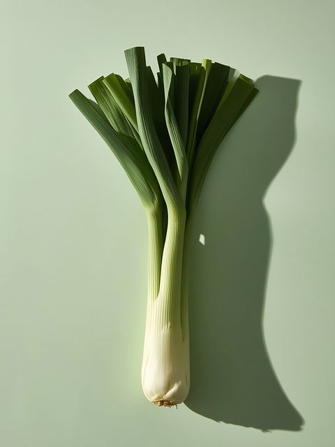 Leek – characteristics, nutritional composition, and intriguing insights
