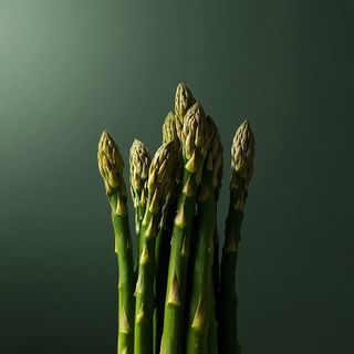 Umfassende Anleitung zur Spargelverarbeitung: Schälmethoden, optimale Garverfahren, Gefriertipps und kreative Serviervorschläge. Kulinarische Inspirationen mit Spargel als Hauptzutat