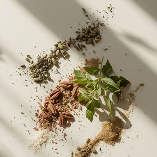 Culinary herbs and seasonings that fundamentally reshape dish flavors while serving as a wholesome salt replacement