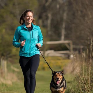 Walking, for Pleasure, Brisk Work, Walking the Dog
