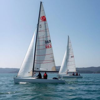 Żeglarstwo, Sunfish / Laser / Hoby Cat, łodzie, żagle oceaniczne, jachty