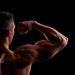 Brachialis-SMR
