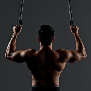 Elevated Cable Rows