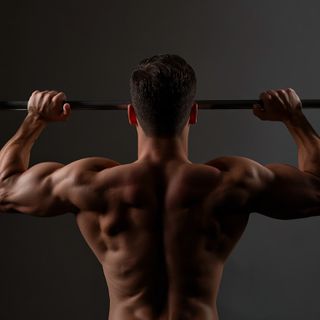 Leverage Chest Press