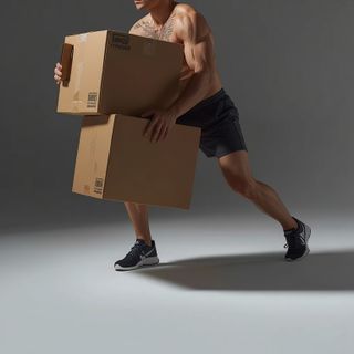 Moving Furniture, Household Items, Transport Boxes