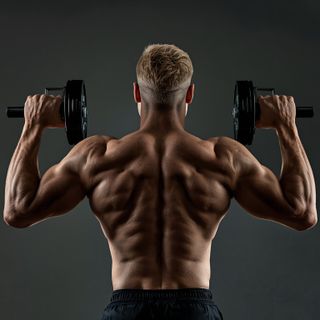 Reverse Plate Curls