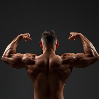 Siedząc Biceps