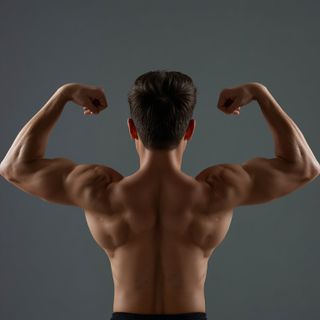 Siedząc Biceps