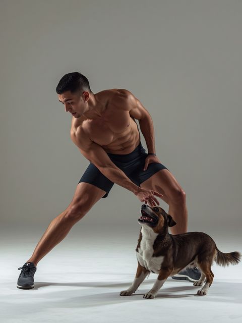 Stand, Playing with Animals, Light Effort, Only Active Periods
