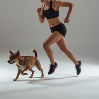Walk/Run, Playing with Animals, Moderate Effort, Only Active Periods