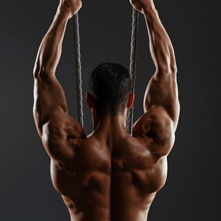 Triceps Overhead Extension with Rope