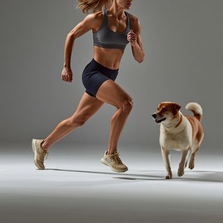 Walk/Run, Playing with Animals, General, Light Effort, Only Active Periods