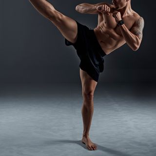 Roundhouse Kick