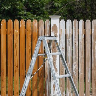 Fence Washing, Fence Painting, Moderate Effort