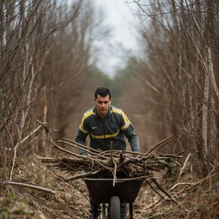 Clearing brush/land, undergrowth, or ground, hauling branches, wheelbarrow chores, vigorous effort