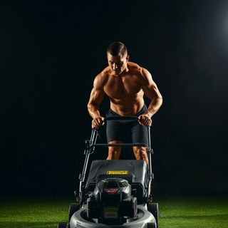 Lawn Mowing, Power Mower, Light or Moderate Effort