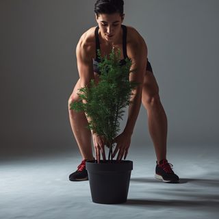 Planting Trees