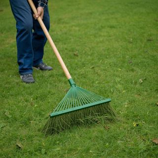 Raking lawn
