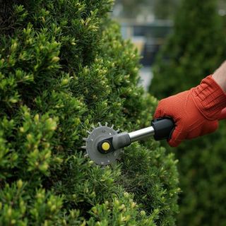 Sträucher oder Bäume trimmen, Hand-Schere