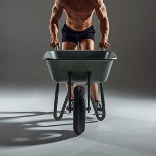 Garden Pushing Cart, Wheelbarrow or Garden Dolly