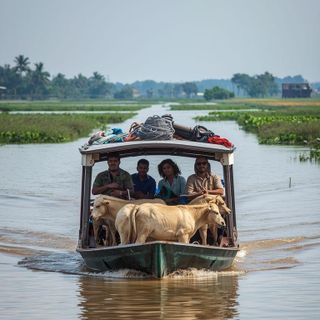Landwirtschaft, Tierwassertransport, allgemeiner Wassertransport, Landwirtschaft, allgemeiner Wassertransport