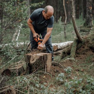 Forestry, moderate effort (e.g., sawing wood with power saw, weeding, hoeing)