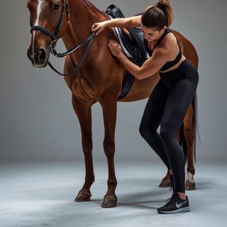 Saddling, Cleaning, Grooming, Harnessing and Unharnessing Horse