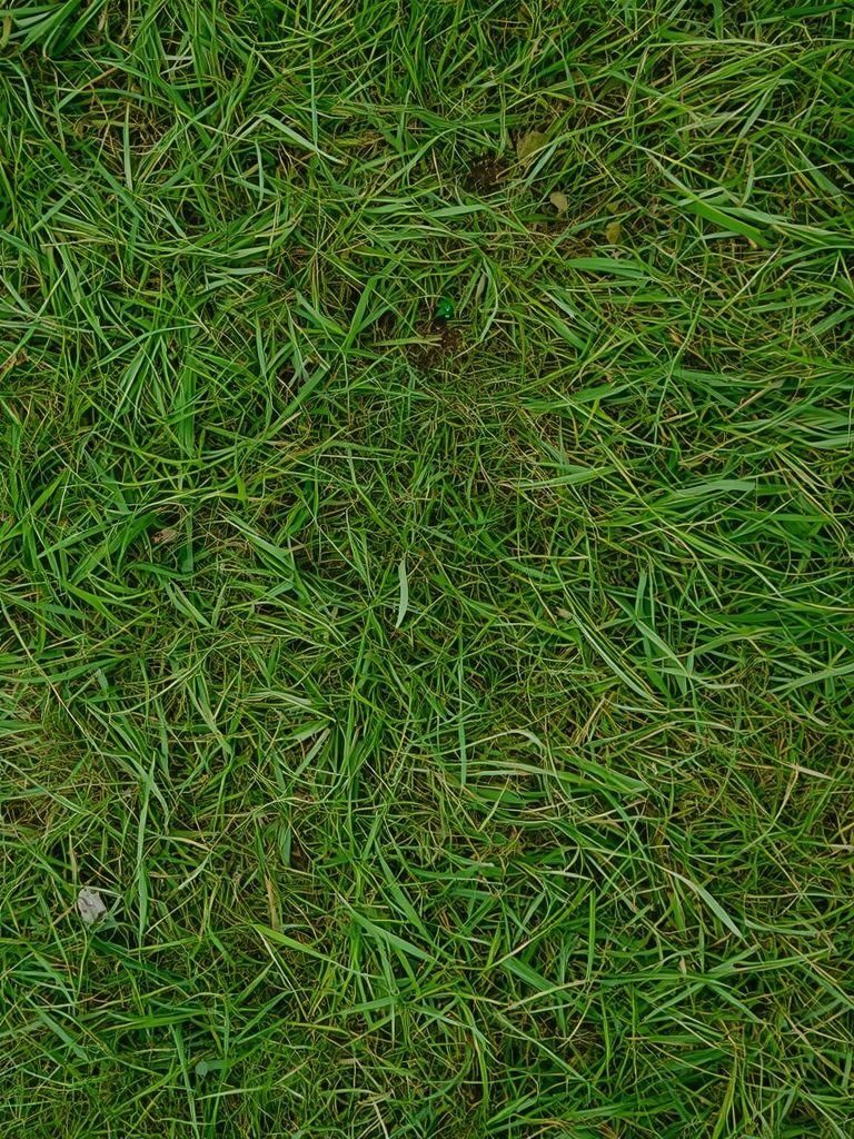 Walking, Grass Track