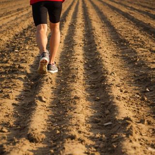 Gehen, normales Tempo, gepflügtes Feld oder Sand