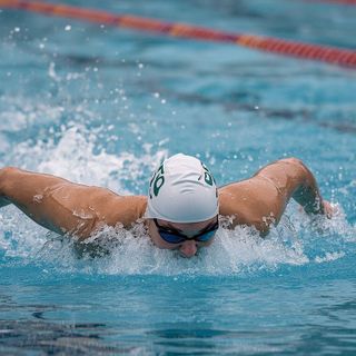 Schwimmen, Kriechen, hohe Geschwindigkeit, ~75 Meter/Minute, intensive Anstrengung