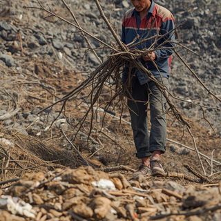 Open-pit Mining, Hauling Branches