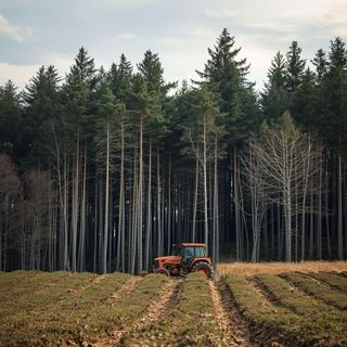 Forestry, Tillage