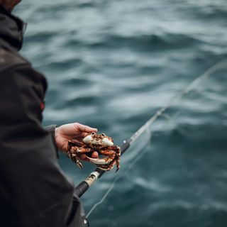 Krabbenfischen