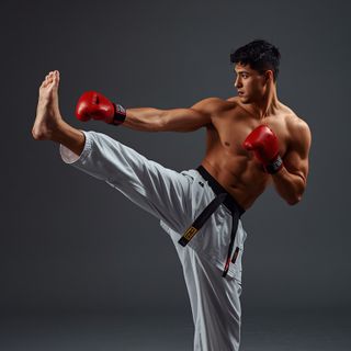 Judo, Jujitsu, Karate, Kickboxing, Taekwondo