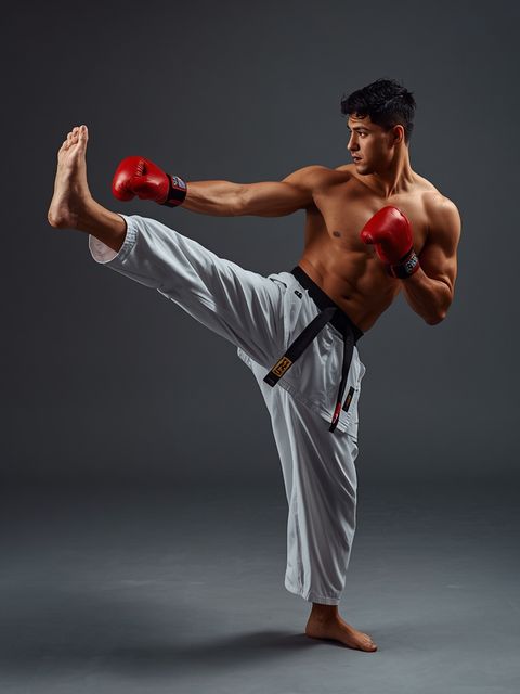 Judo, Jujitsu, Karate, Kickboxing, Taekwondo