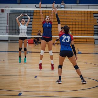 Volleyball, Competitive in Gymnasium