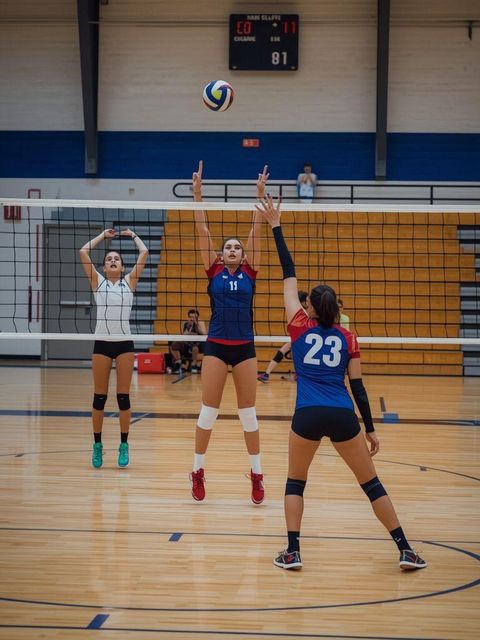 Volleyball, Competitive in Gymnasium