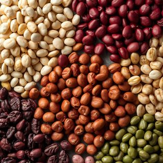 Beans (all species), dried