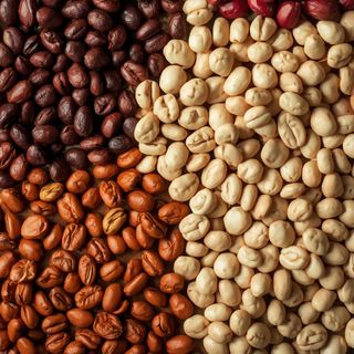 Beans (all species), dried