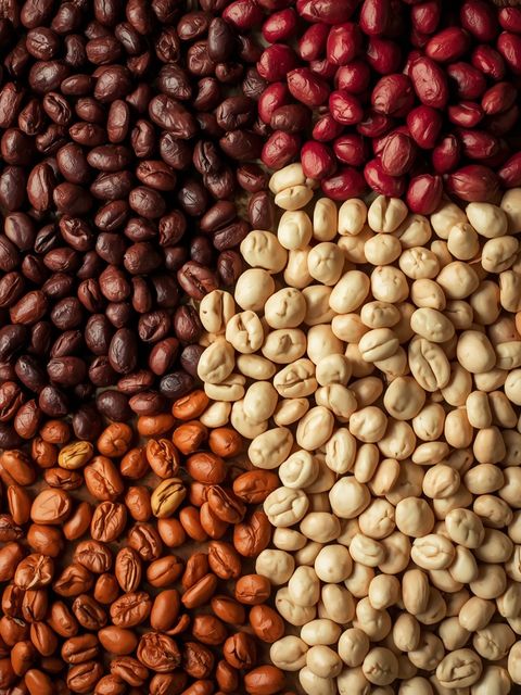 Beans (all species), dried