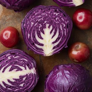 Red cabbage, steamed (no added fat or salt)
