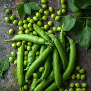 Peas, Green, Steamed (Without Addition of Salt)