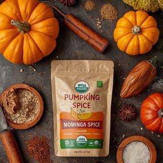 Pumpkin Spice Caffeine-Free – Organic Superfood with Moringa (Tea Bags, Pumpkin Spice)