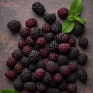 Blackberry Sugar, Seedless