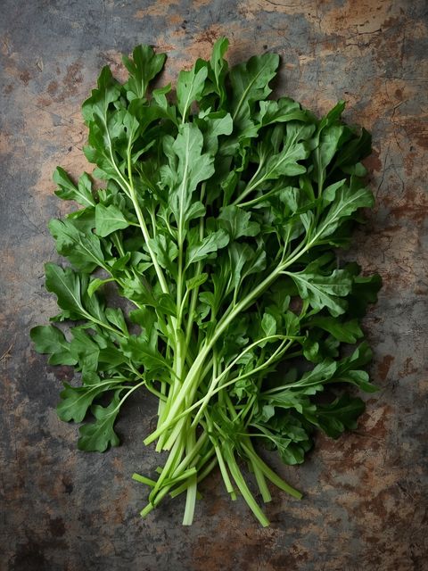 Rucola