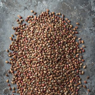 Chia Seeds