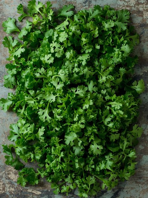 Parsley Leaves 2