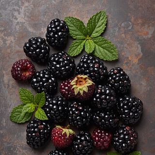 Jeżyny