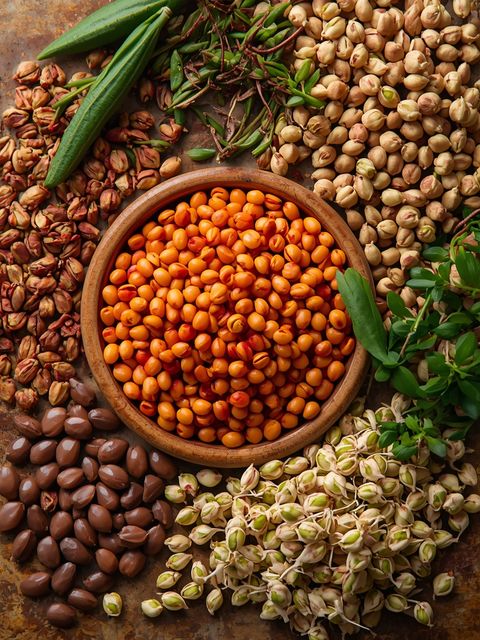 Lentils, Sprouts