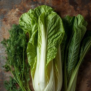 Chinese Cabbage
